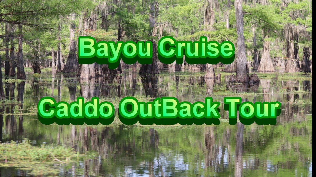 caddo lake cruise