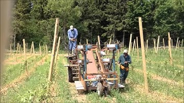 Huron Fruit Systems Installing Trellis Wire With Apple Harvest Platform