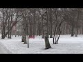 Уссурийск, парк Суворовского училища, февраль 2021 г.