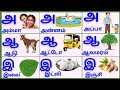 அஆஇஈ/உயிரெழுத்துக்கள்/Uyireluthukkal/Tamil Alphabets for kids @PEEKABOO-ff8wq #uyireluthukkal 