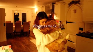 christmas is coming and so is my new hair  (vlogmas week one baby)