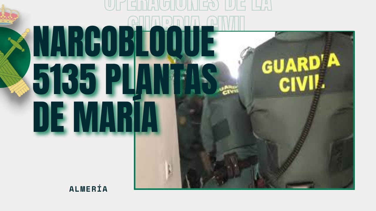 Nueva macrooperación y desmantelado por segunda vez un “narco bloque” con 5135 plantas de marihuana-