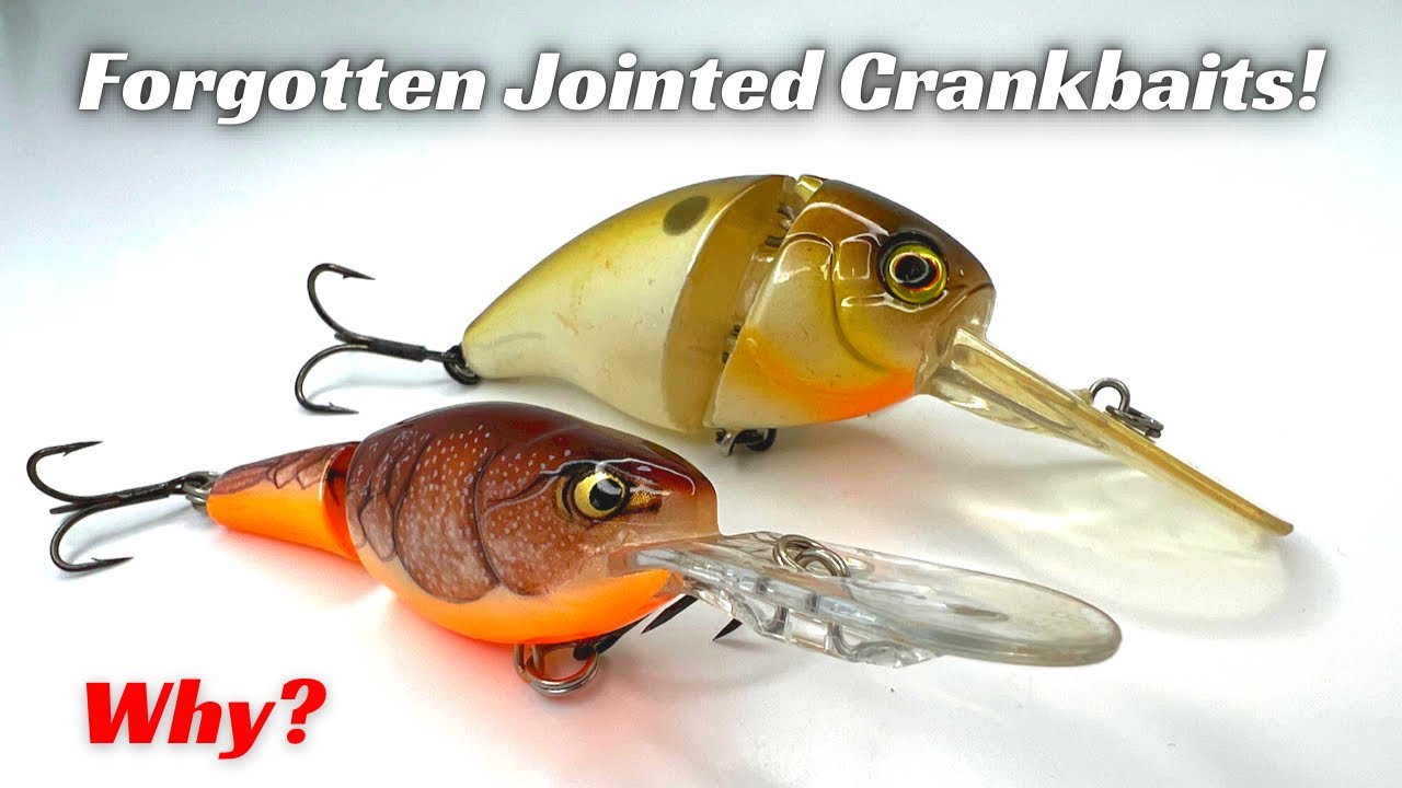 Why Have JOINTED Crankbaits Been Forgotten About! They Crush Bass!