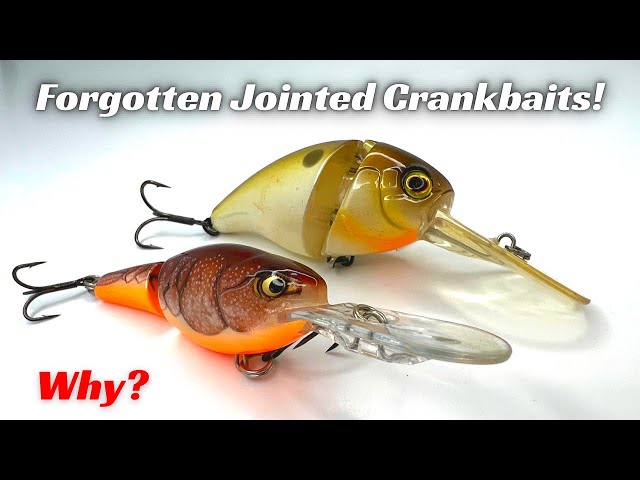 Why Have JOINTED Crankbaits Been Forgotten About! They Crush Bass