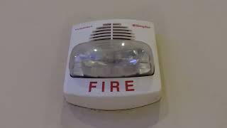 (UNEXPECTED) Simplex true alert spotted.