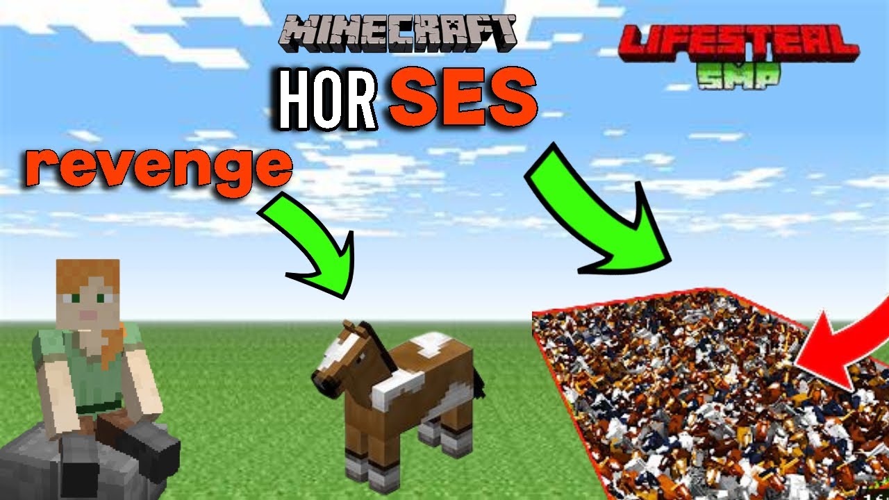 Hyper Bro Using A Horse How I Killed My Enemy In This Minecraft Smp I Lifesteal ...