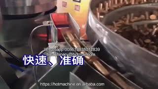 Automatic Aluminium Blind Rivets Counting Packing Machine