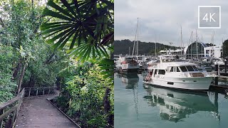 【4K Walk】Tropical Forest to Tropical Island • nature sounds, no talking • Keppel Island 🇸🇬