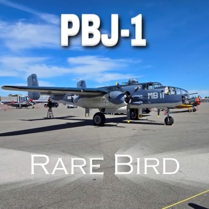 PBJ-1  -  A Rare Bird