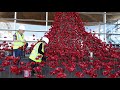 This amazing waterfall of poppies from Tower of London has been unveiled in Cardiff