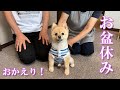 ポメくんが福島に帰ってきてくれました!【ポメくん劇場開幕】