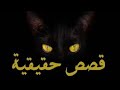 قصص حقيقية حدثت بالفعل منذ عامين من تجارب المستمعين إعادة صياغة قصص حقيقية حدثت بالفعل منذ عامين من تجارب المستمعين إعادة صياغة