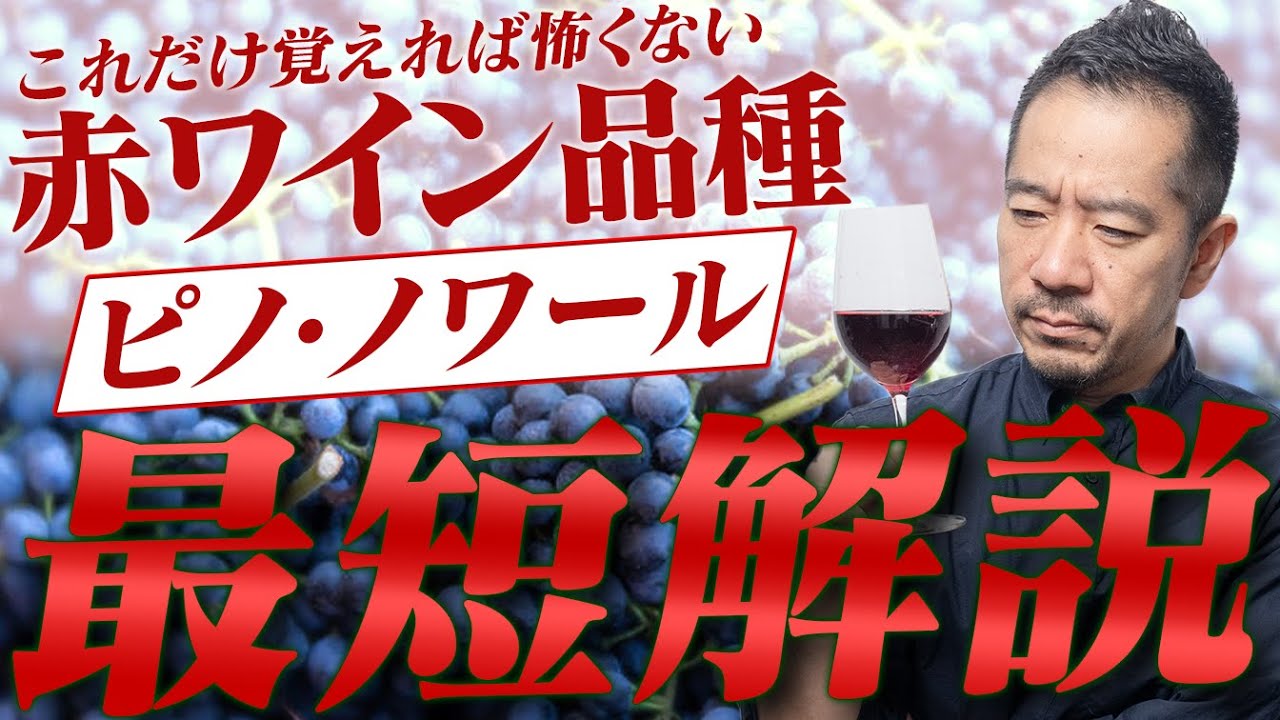ビギナー必見！世界一高いワインが作られるぶどうピノ・ノワールを知る