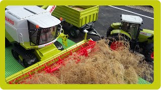 BRUDER TOYS CLASS COMBINE on tracks Lexion Terra Trac Harvester