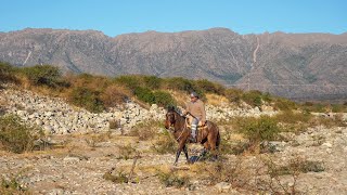 Extreme loneliness in a countryside in San Luis, Argentina