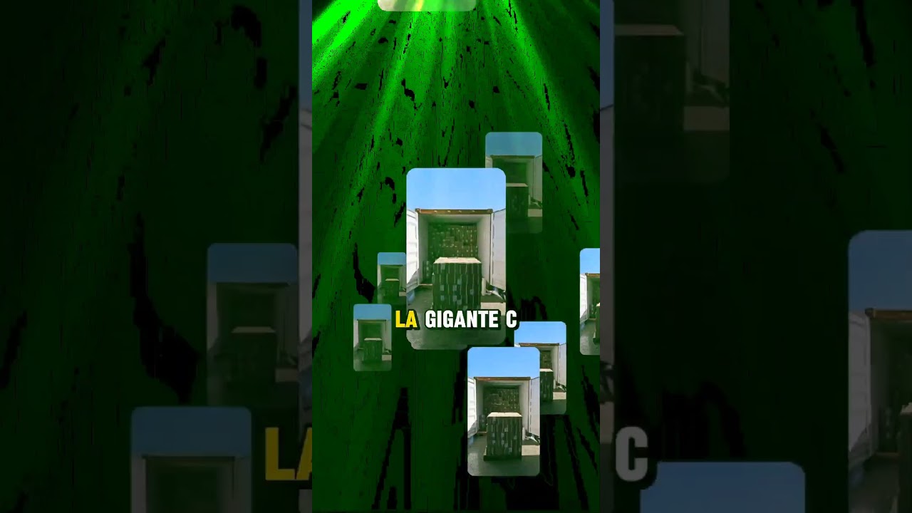 IA de C.H. Robinson revoluciona la logística. 