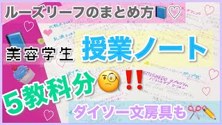 【ルーズリーフの勉強まとめ方】授業ノート公開！ダイソー文房具の活用方法！美容学生の勉強内容は？