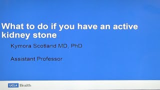 What To Do If You Have an Active Kidney Stone | Kymora Scotland, MD, PhD | UCLA Urology