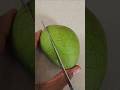 amazing fruit cutting skills🌺🥭🍉1383#shorts #viral#food#youtubeshorts#yt