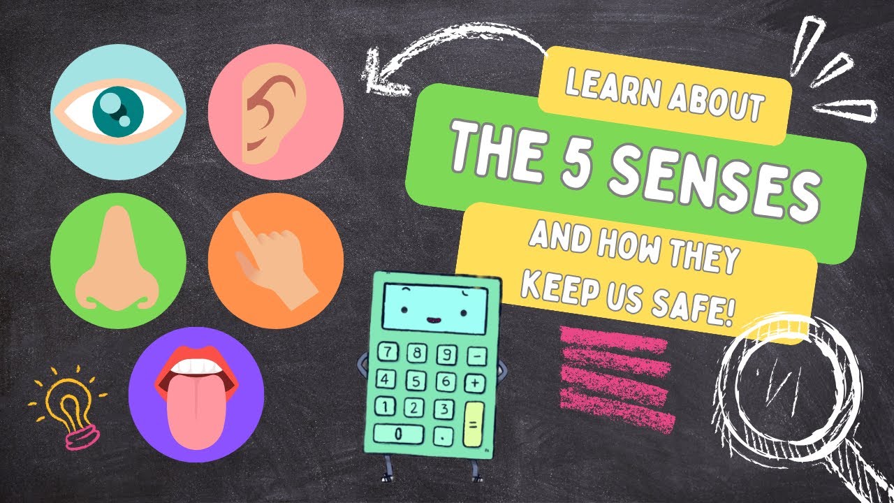 Learning Videos for Kids | The 5 Senses | MORE Fun Facts About the 5 Senses and Safety
