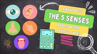 Learning Videos for Kids | The 5 Senses | MORE Fun Facts About the 5 Senses and Safety