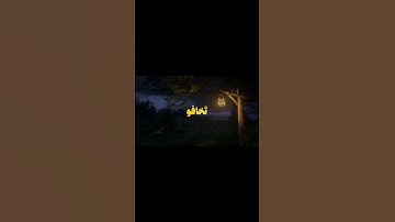 تلاوة هادئة 😌🎧من سورة فصلت بصوت الشيخ ناصر القطامي