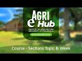 Course  sections topic  week