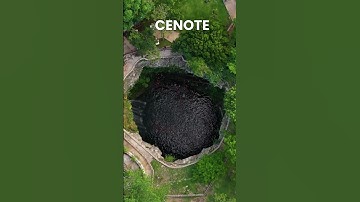 Vast Mayan City of Coba #maya #mayacivilization #shorts