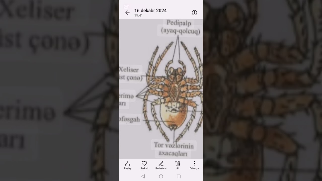 5 ci sinif Təbiət (onurğalı və onurğasız heyvanlar mövzusu)