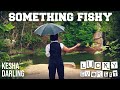 Something Fishy - a short film