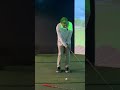 the perfect chip shot #shorts