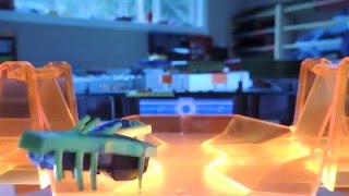 ENDURANCE  hexbug battle. by X hexbugs 353 views 8 years ago 1 hour, 19 minutes