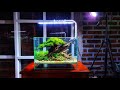 #334 Membuat Aquascape murah,budget 4nak kos kosan