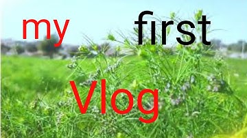 my first vlog #myfirstvlog #myfirstvideo #myfirstvideoyoutube #volg #myfirstvlog