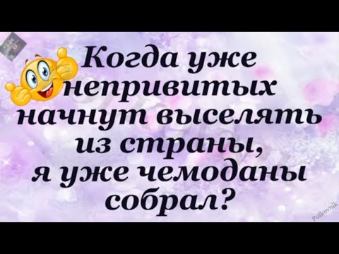 Зажигательные шутки! Год прошёл достаточно...