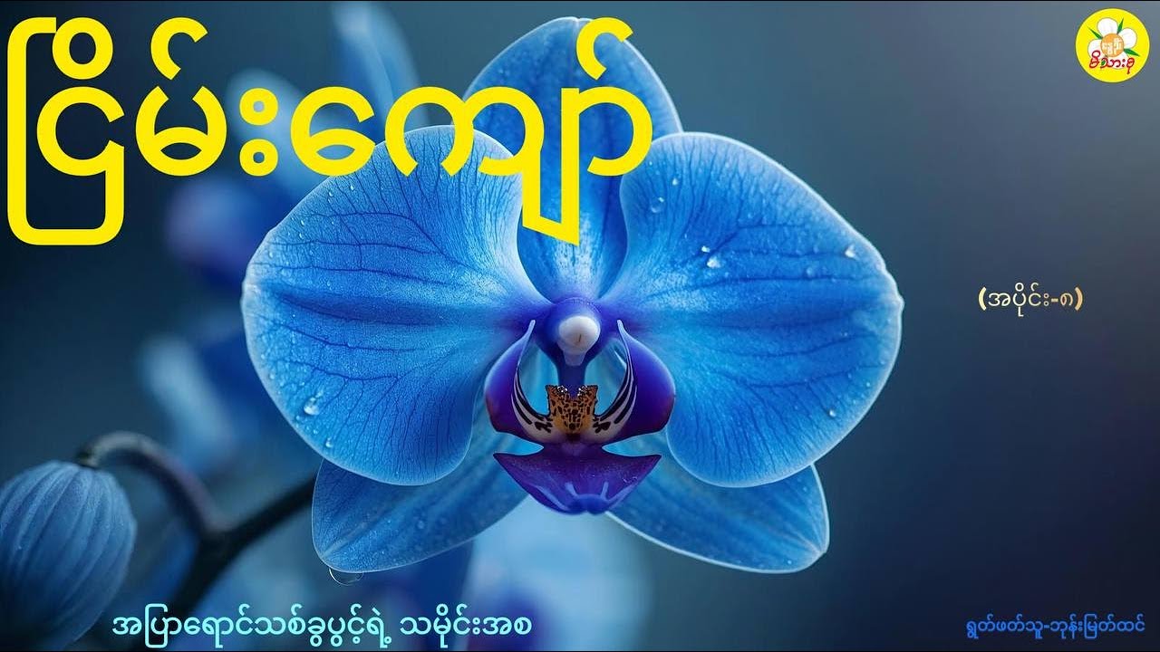 ငြိမ်းကျော်၊အပြာရောင်သစ်ခွပွင့်ရဲ့ သမိုင်းအစ(အပိုင်း-၈)