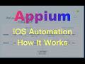 18 - Appium iOS自动化核心原理与框架