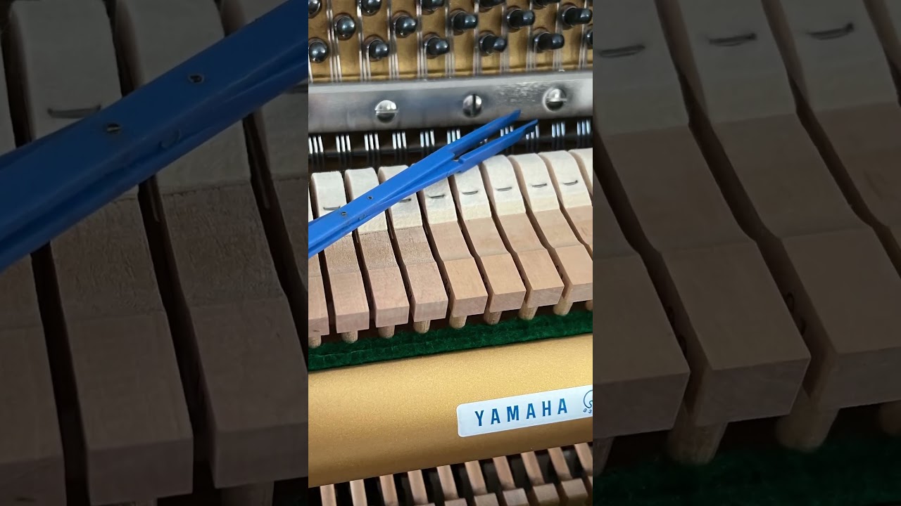 Tuning piano, modern and traditional technical.
