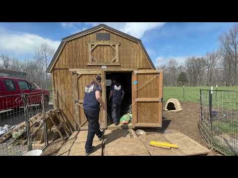 Video: Pet Scoop: Dogul deschide usile pentru a scapa de canisa, memorialul creste pentru un caine ucis in Stockholm