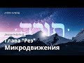 Недельная глава Реэ.Микродвижения.  Дварим 14:22-15:23