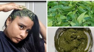 Neem Onion Hair Pack | Reduce itchi scalp & Dandruff, Hair Fall, Lice | In Telugu By RamsKitchen