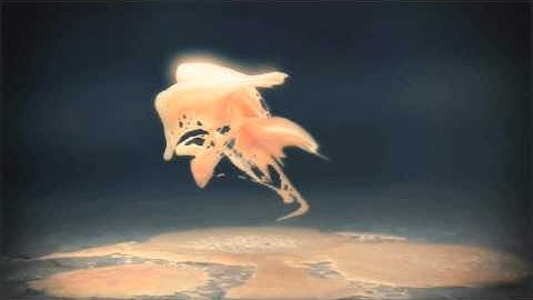 absynth sound desing