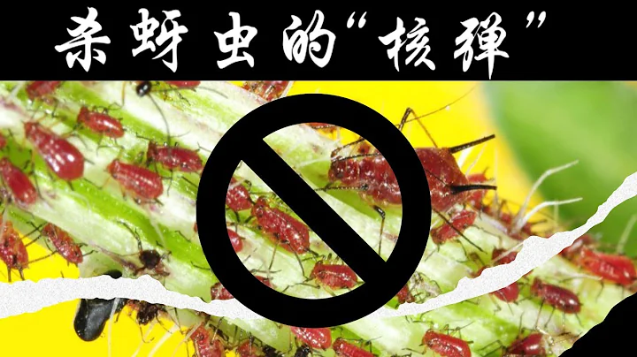 杀虫剂不管用？试试杀蚜虫的“核弹”！ - 天天要闻