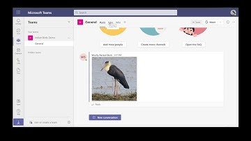 SharePoint Online Site Permissions Report