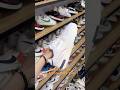 Lên cho AE Mẫu Báo CA Siêu Keng #cantho #adidas #2hand #sneakers #nike #newbalance #puma #reebok
