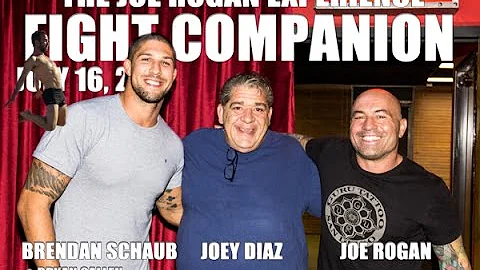 Joe Rogan Experience - Fight Companion - July 16, 2014