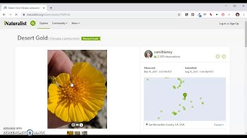 Using iNaturalist to Explore the Flora and Fauna of Your State
