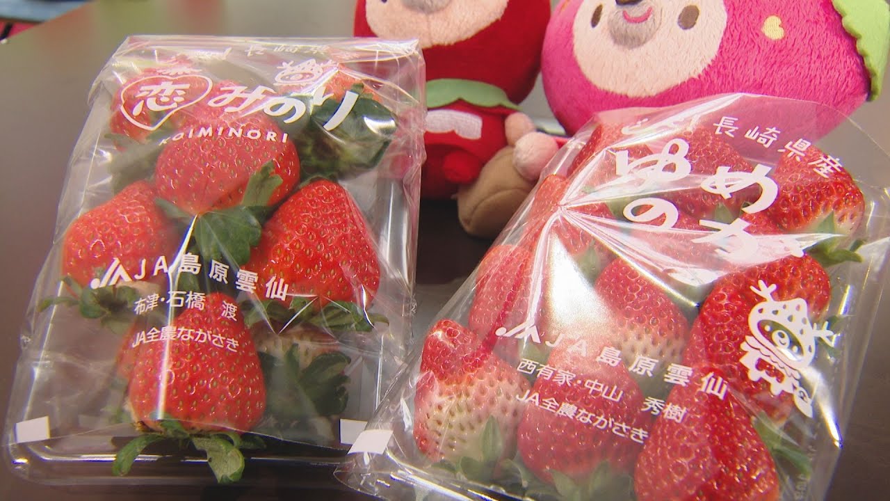 生産量全国３位の県産イチゴ　「ゆめのか」と「恋みのり」の味の違い