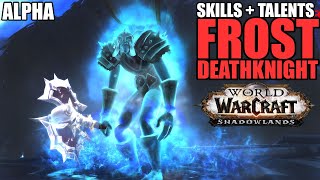 ️2H or Dual Wield? ALPHA FROST DEATHKNIGHT SKILLS + TALENTS | FDK | SHADOWLANDS