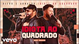 Idiota Ao Quadrado - Diego e Arnaldo (Ao Vivo)
